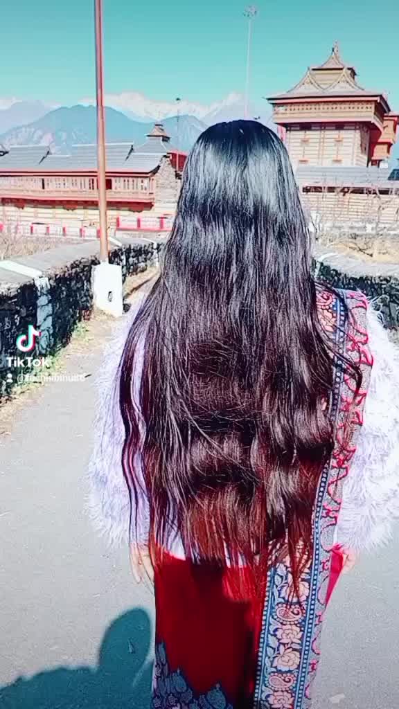 @fuchhibinu