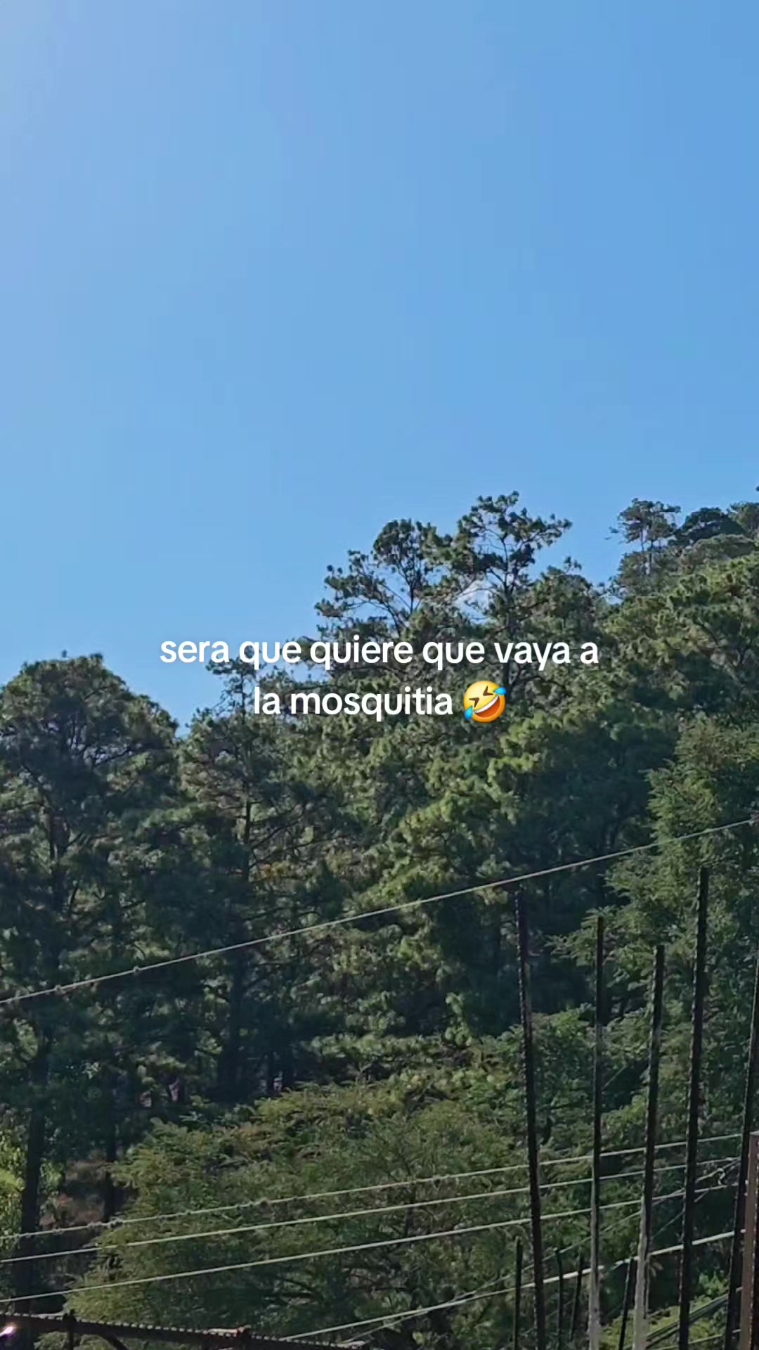@Azack 🐧