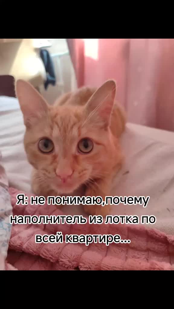 @Светлячок