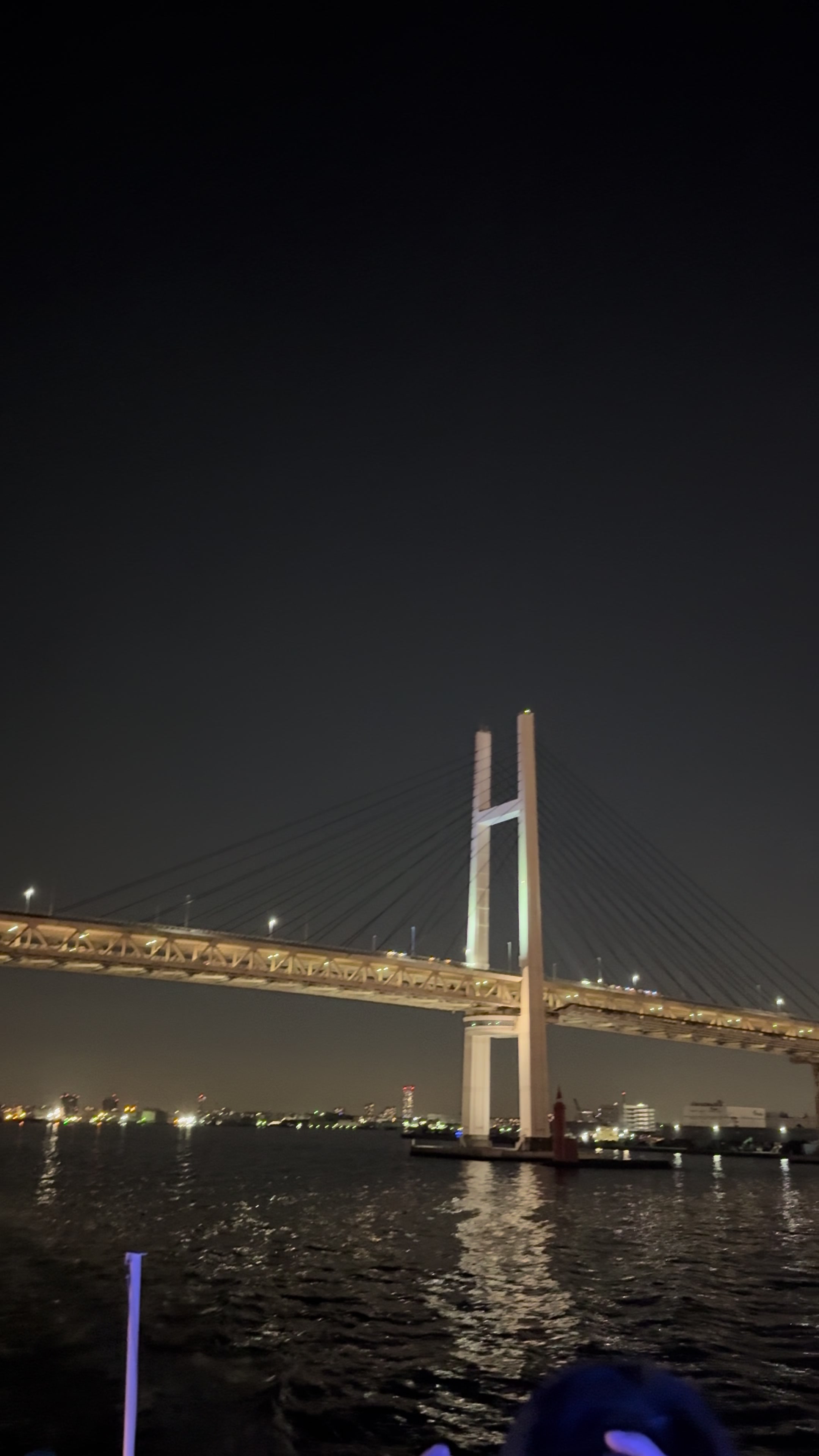 @tokyo.sky.heart
