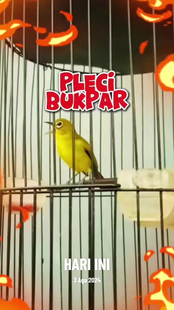 @totalbukpar