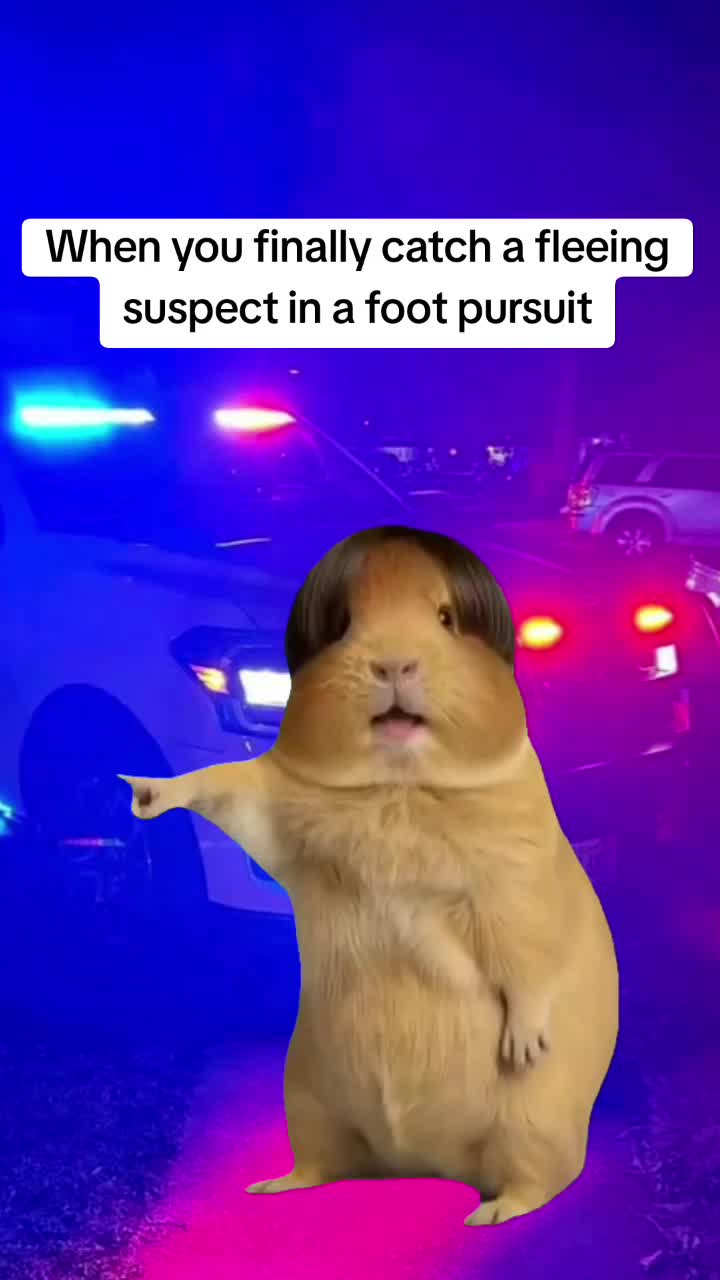 @RP7L
