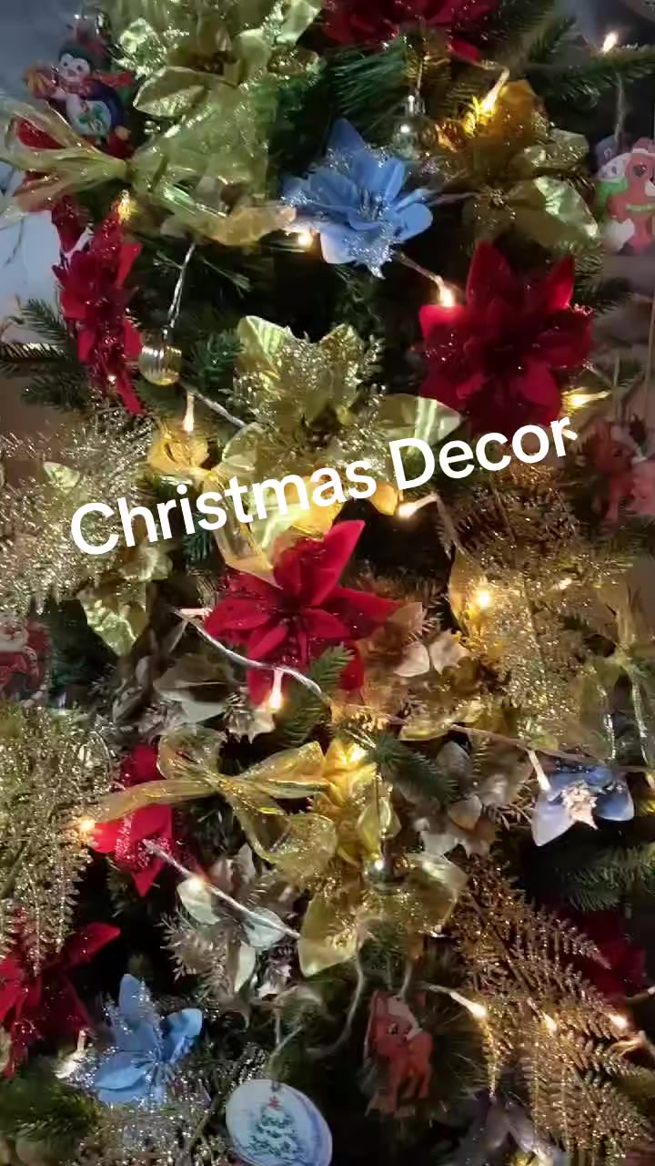 @Grace Finds