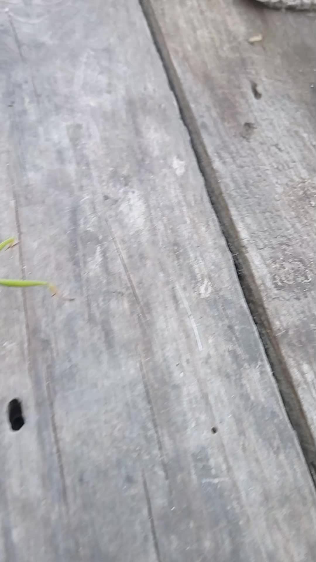 @УМКА