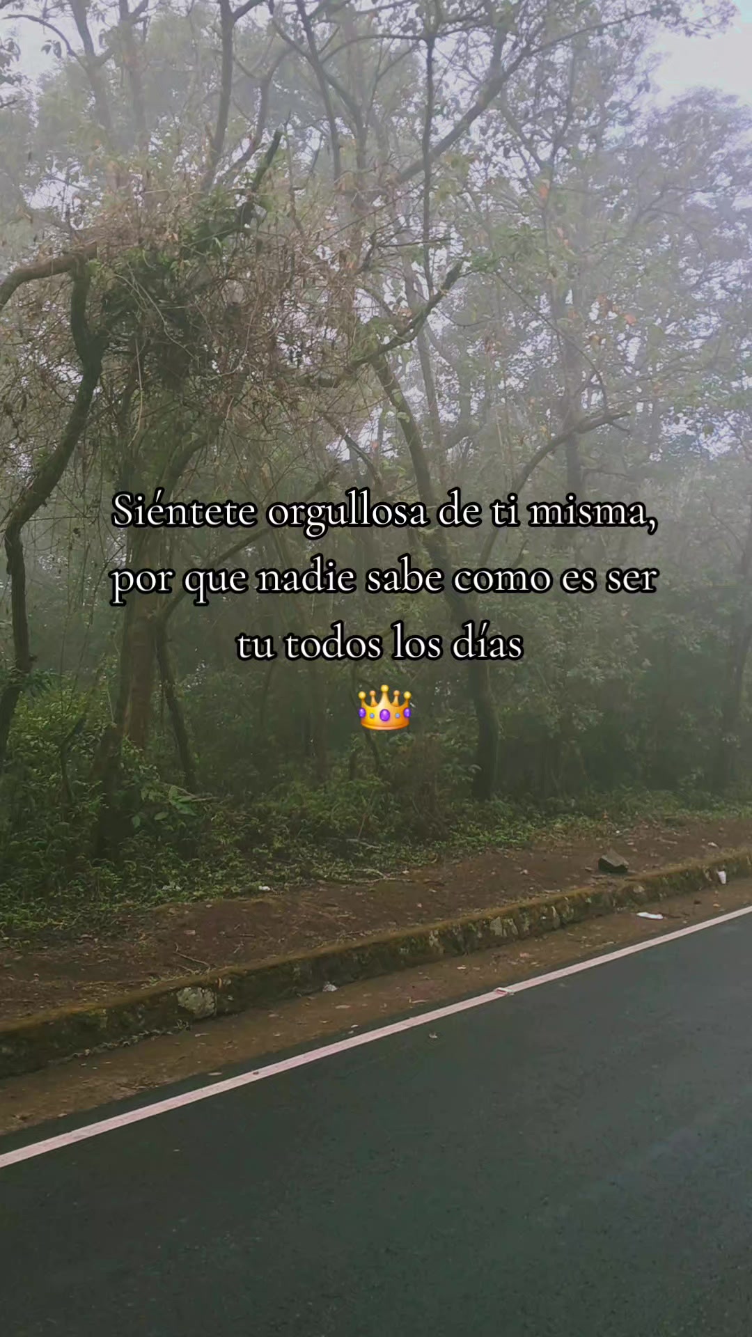 @🫧Fany🫧
