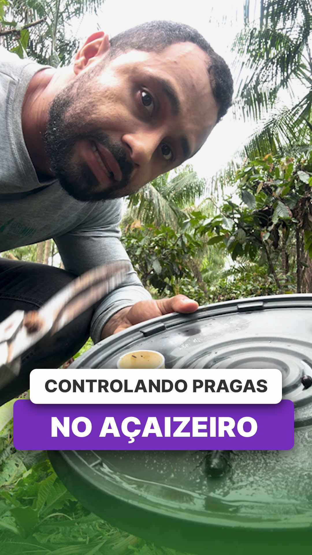 @ViveiroProMudas