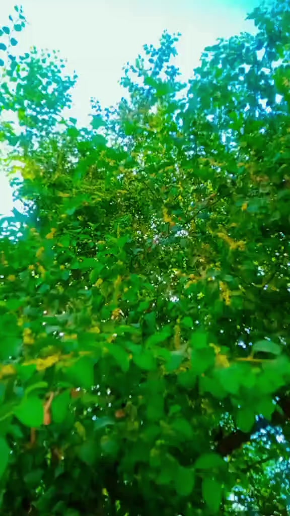 @Akhtarjaan56