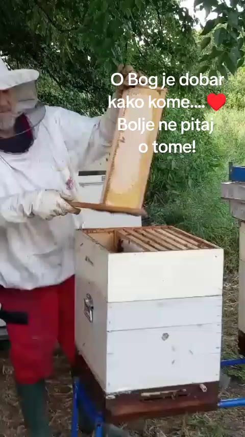 @Hajnalka