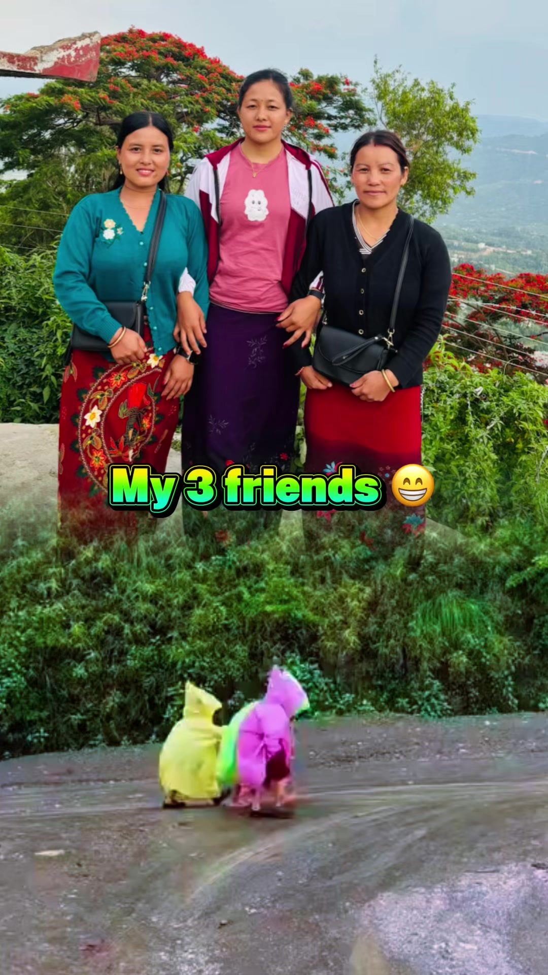 @Rajani D Mogolnee