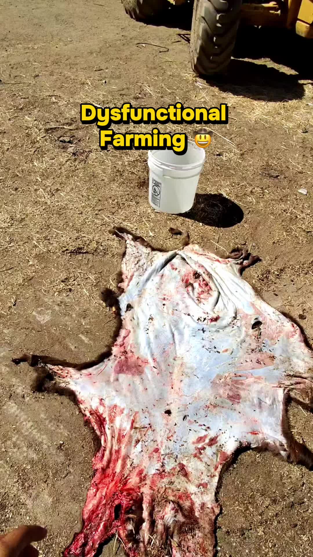 @Skylar Farming