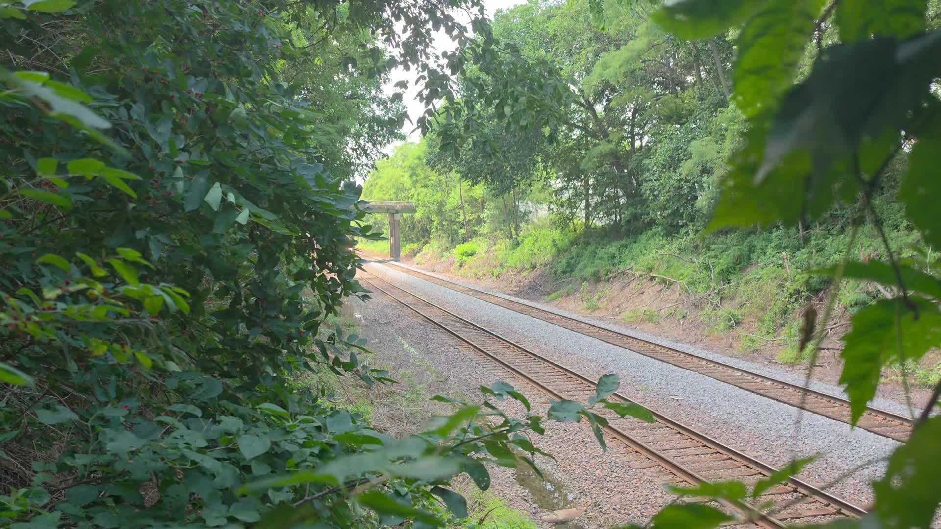 @Eastern Iowa by Rails📷🚂🚗