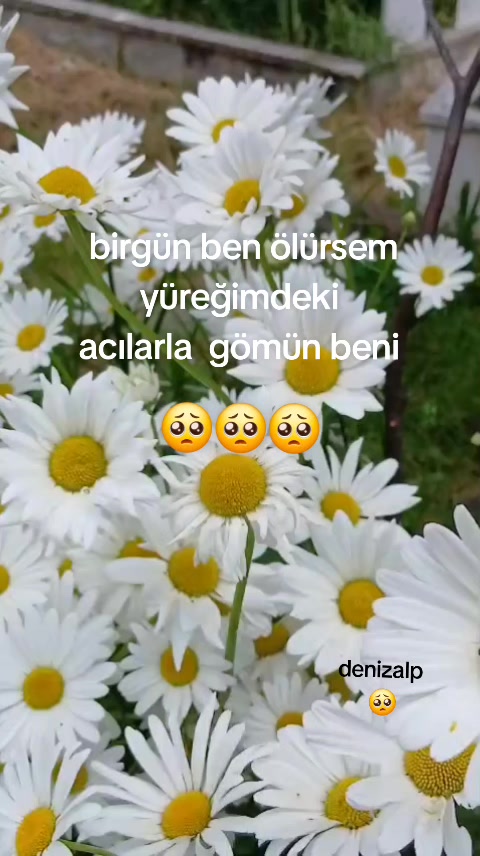 @06 ❤️denizalp❤️19