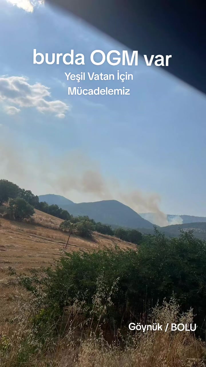 @Hüseyin MATYAR