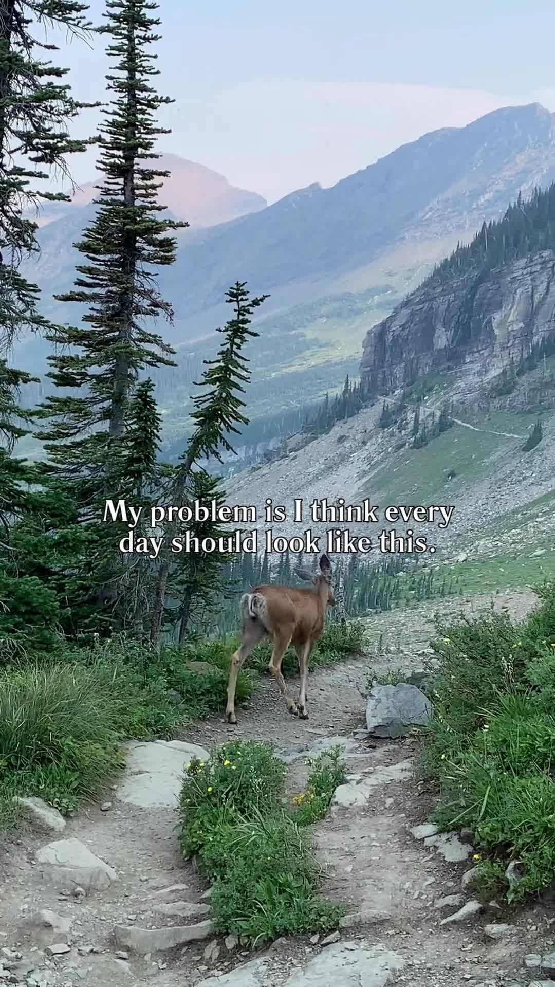 @montanamattproperties