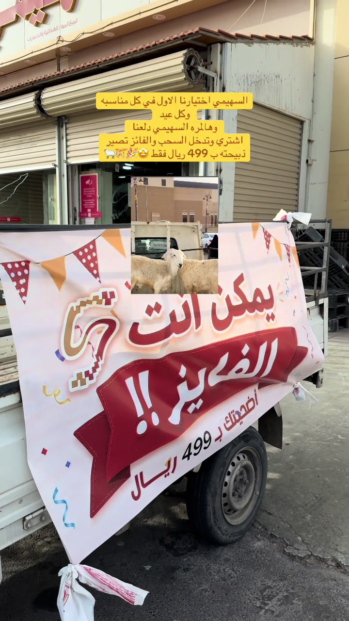 @لقطات | تبوك 🇸🇦