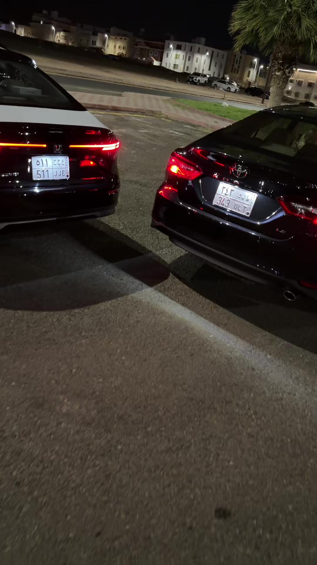 @طلو 343 🤩🖤 .