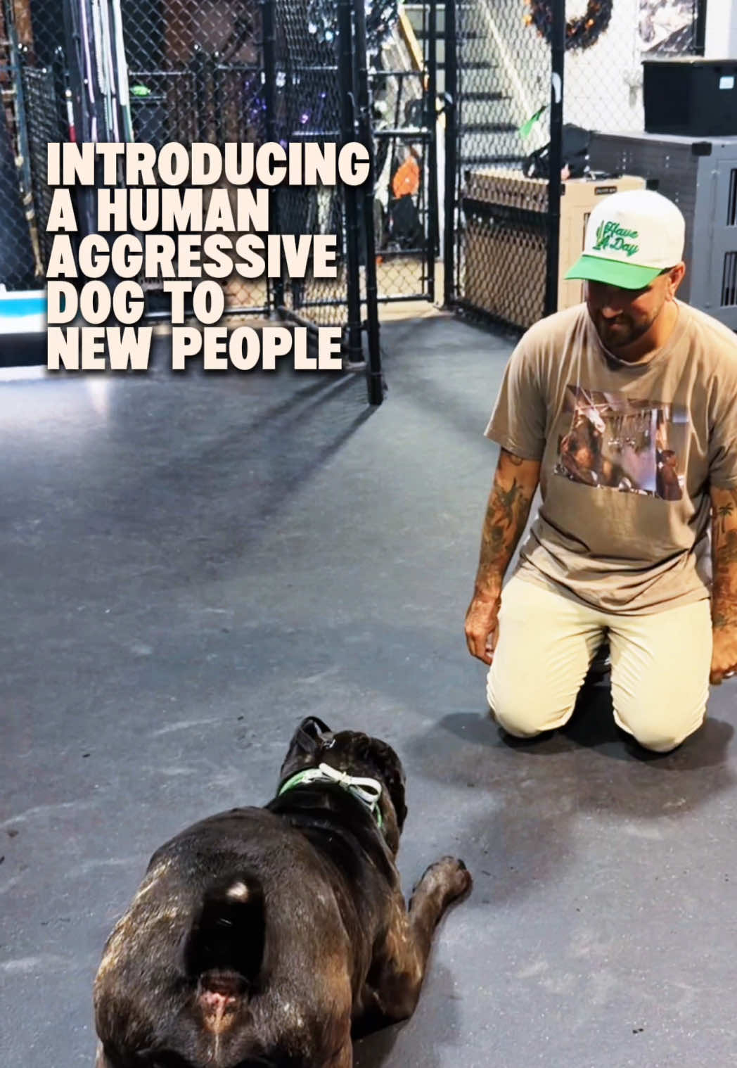 @Miracle K9 Training