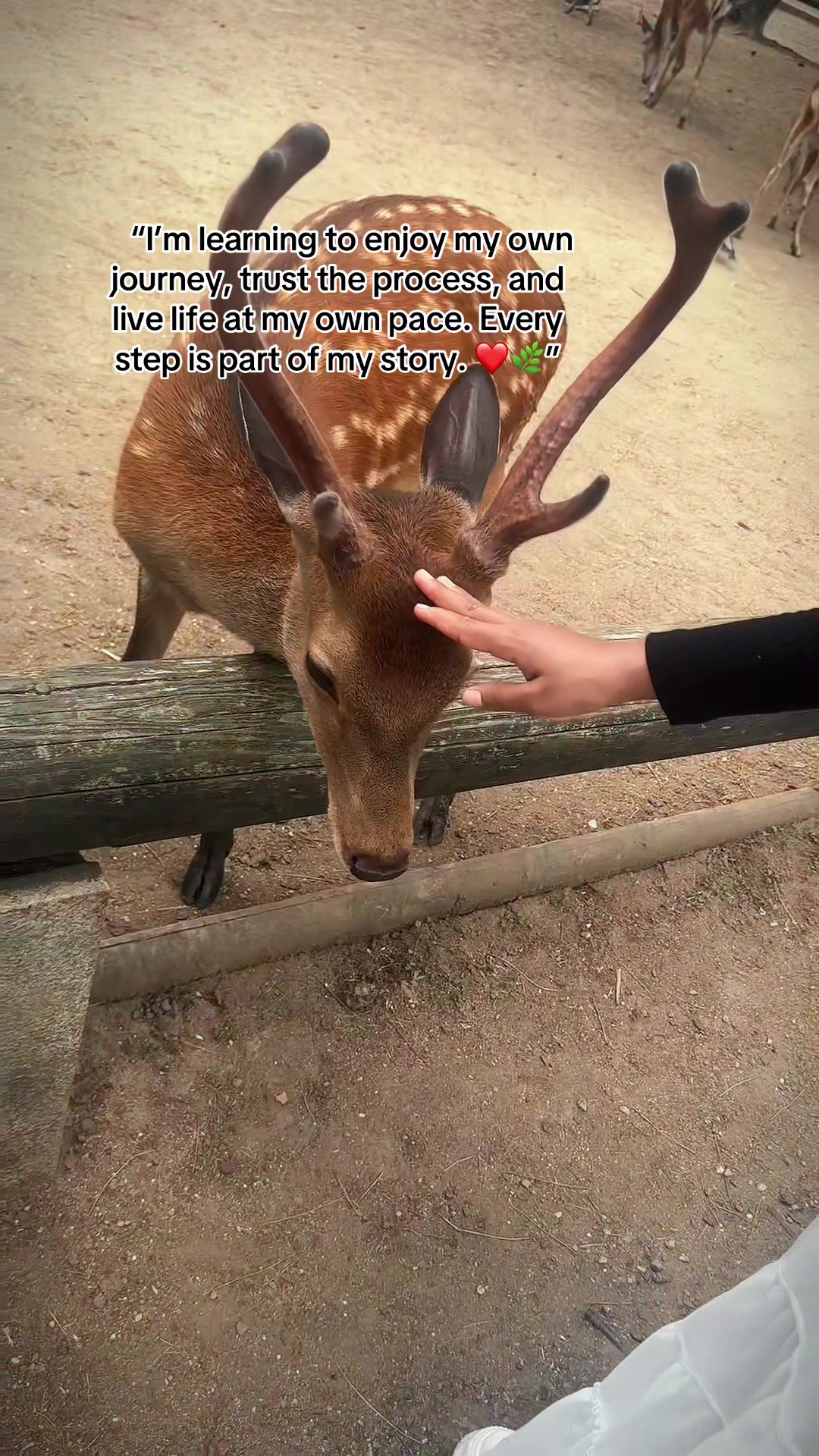 @Ⓜ️♡