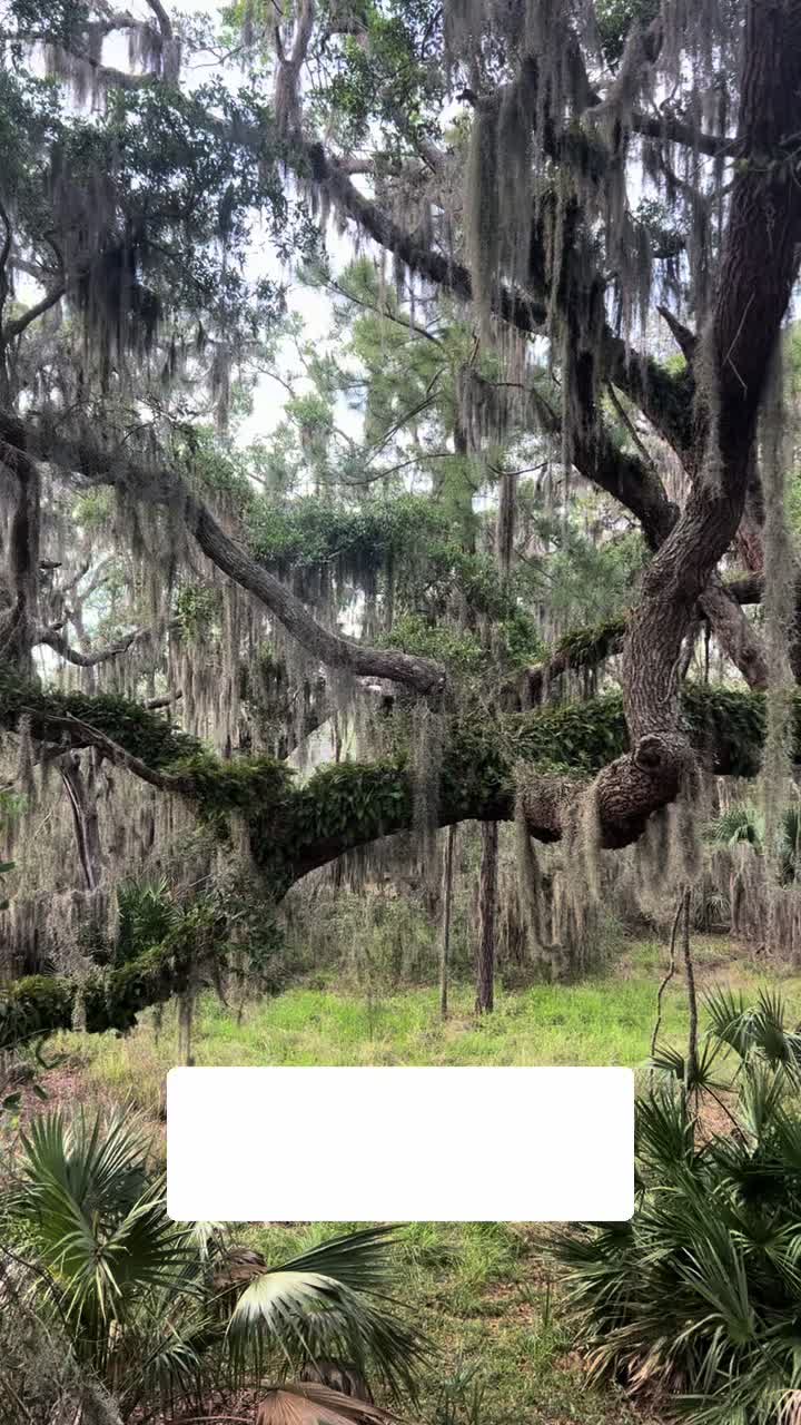 @Georgia’sOnMyMind