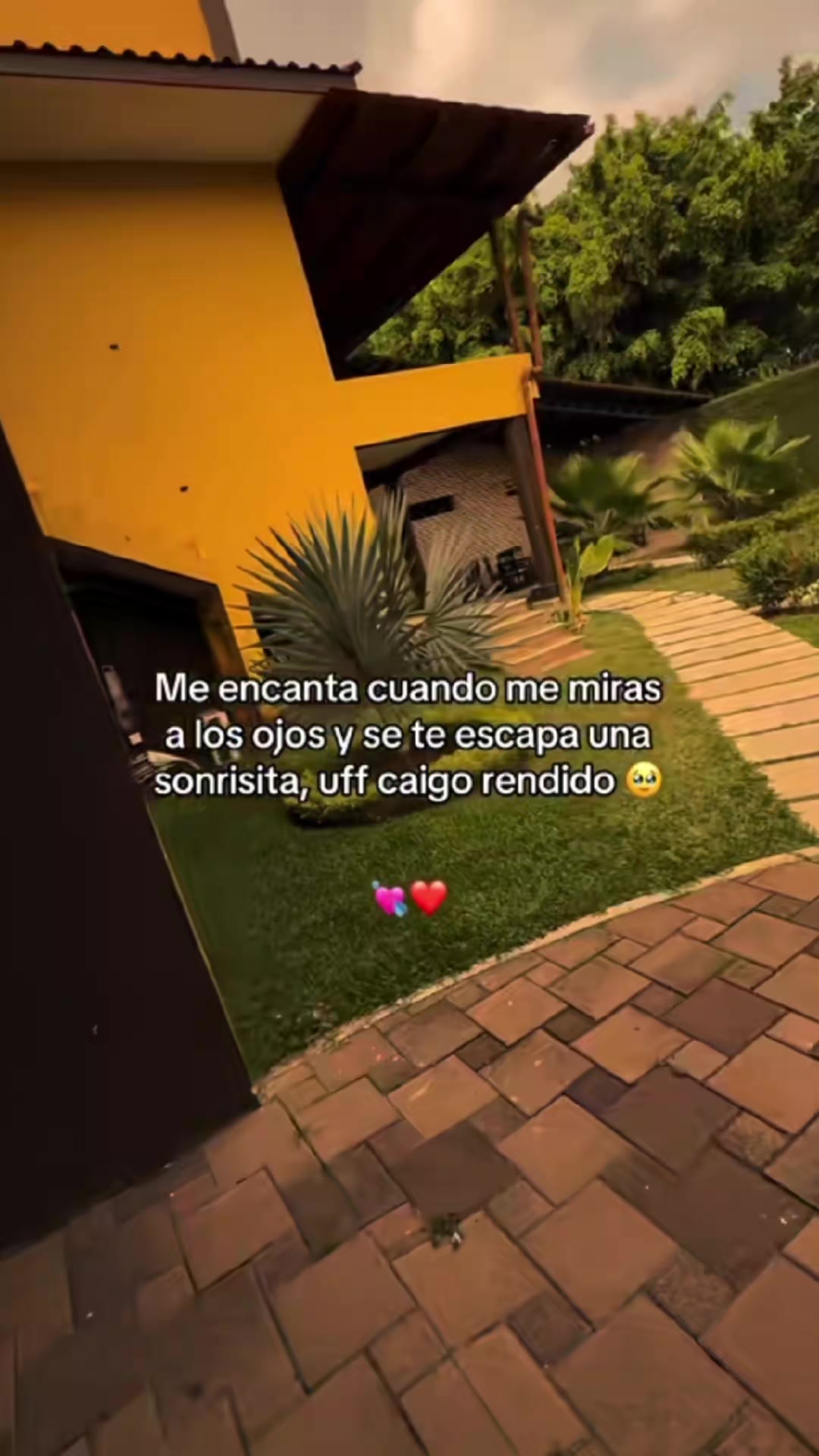 @rodriiguiit00
