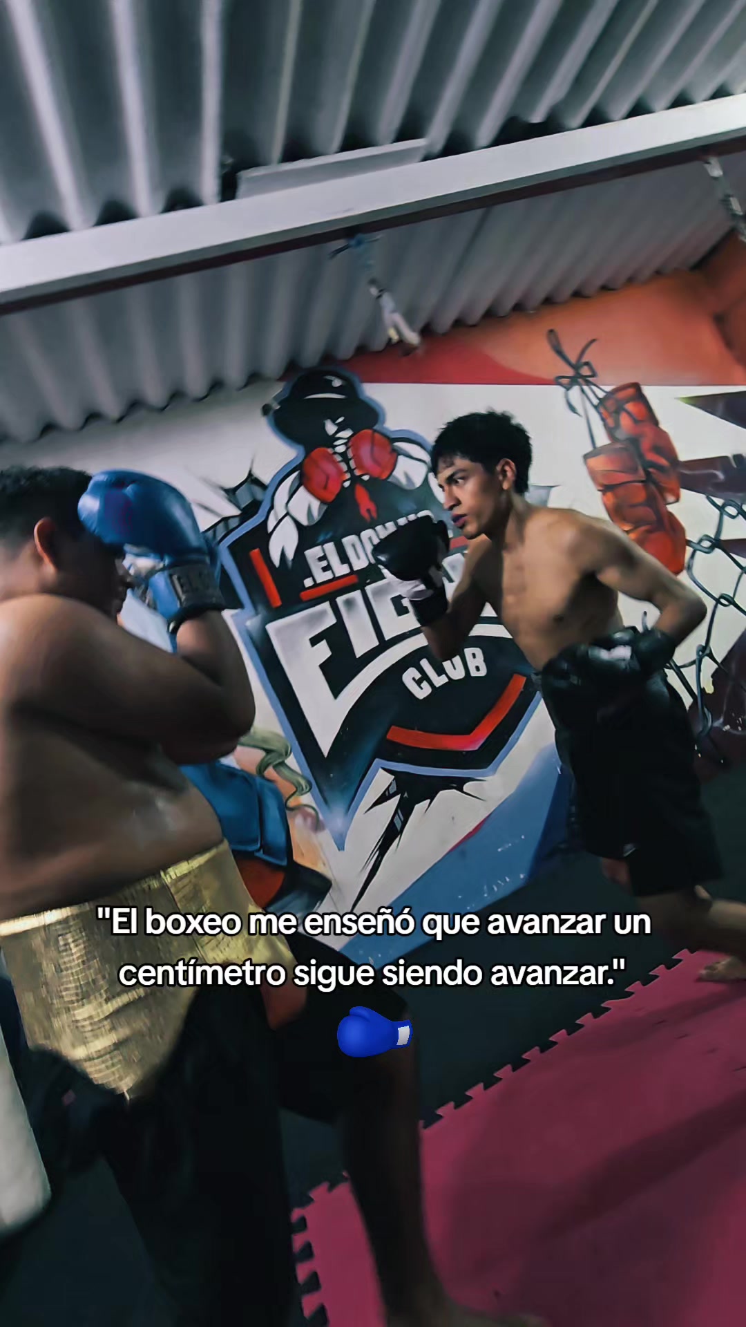 @EL DON K.O.🥊