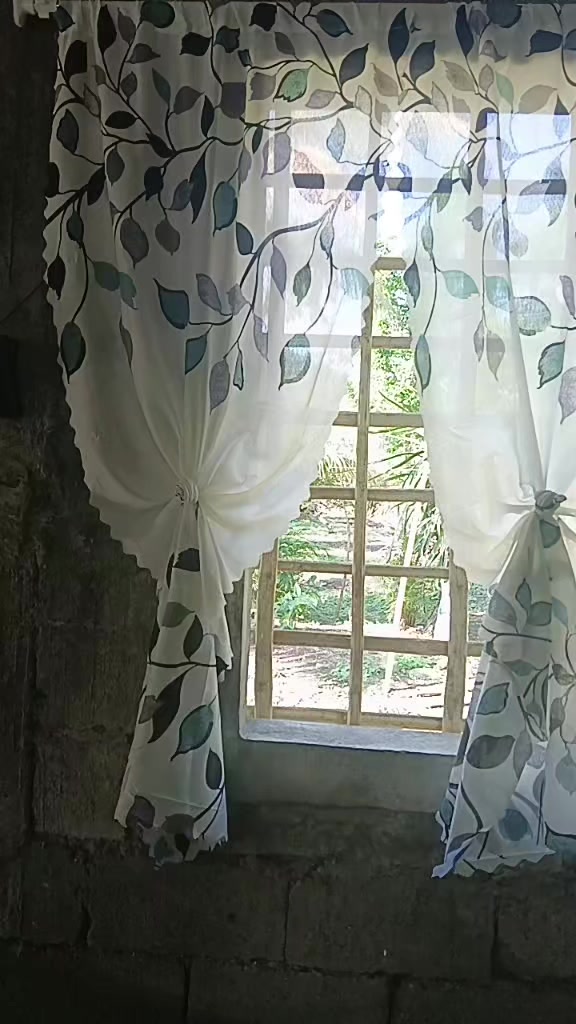 @ᥫ᭡Di Vhineᥫ᭡