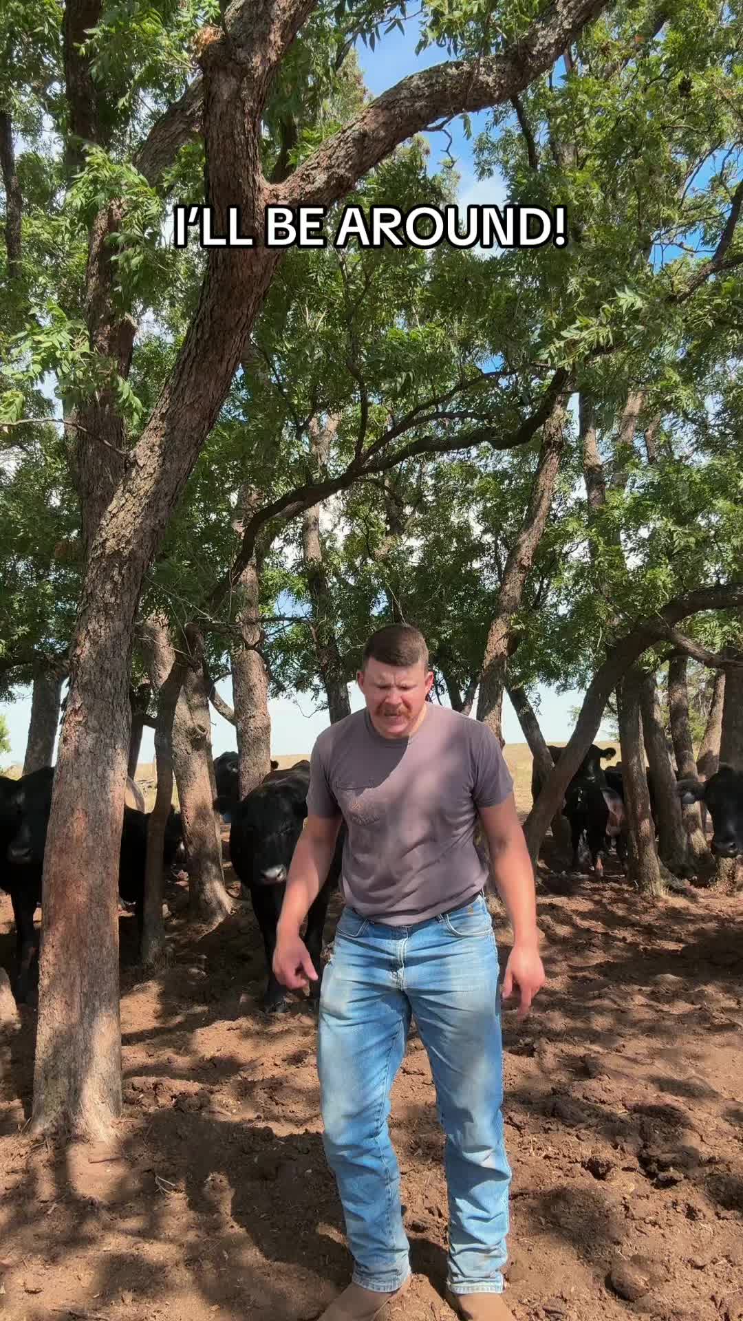 @LaneGorrell