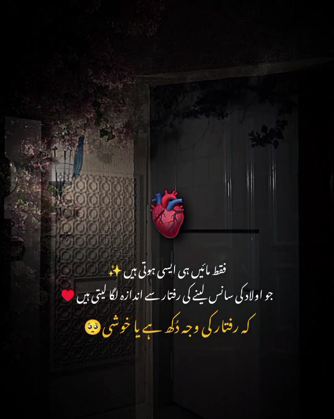 @MrS ArSaLaN♥️
