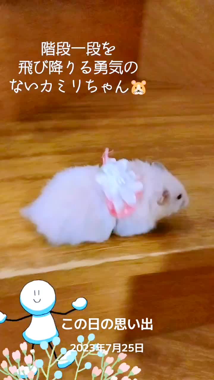 @🌿ありごれん🌿薬草🌿