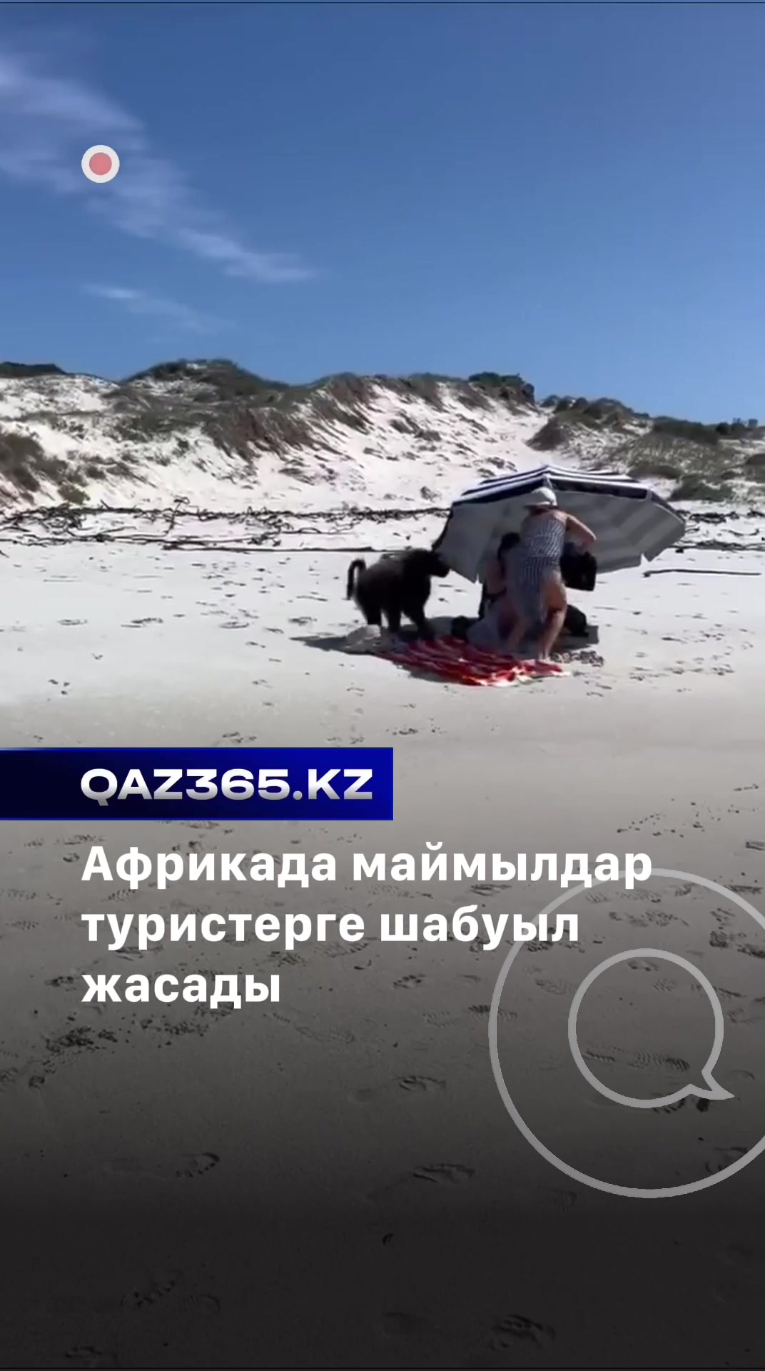 @Qaz365.kz | Новости Казахстана