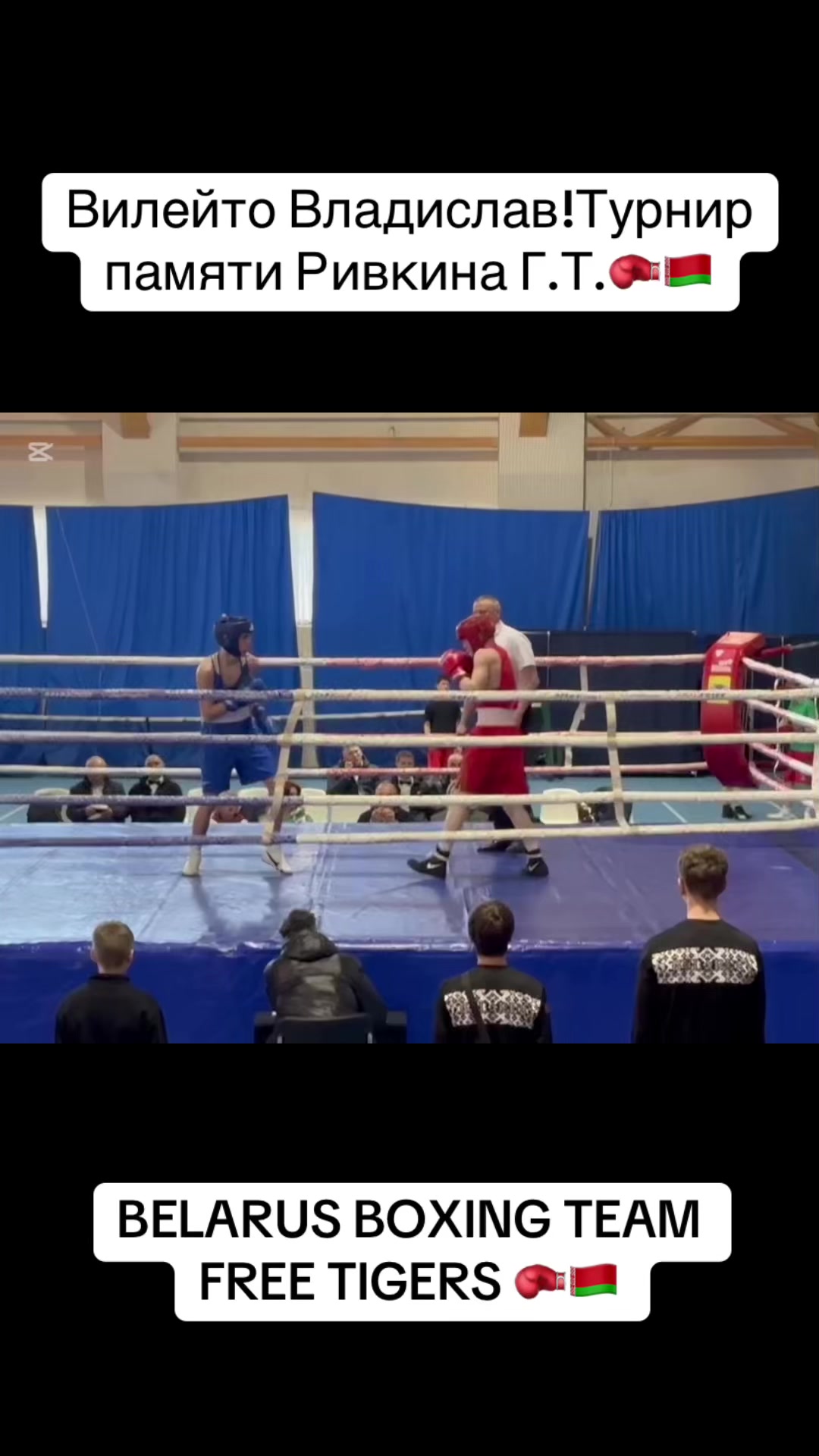 @free_tigers_vitebsk