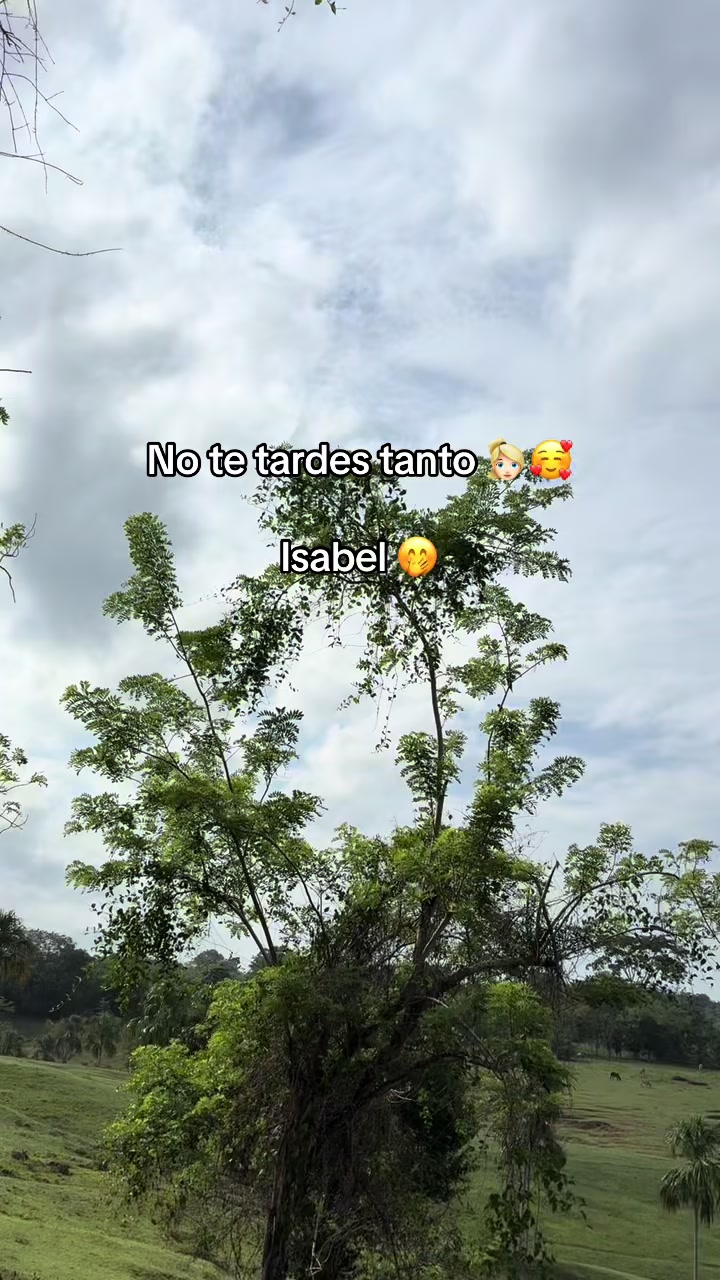 @EiverBaqueroContenidos