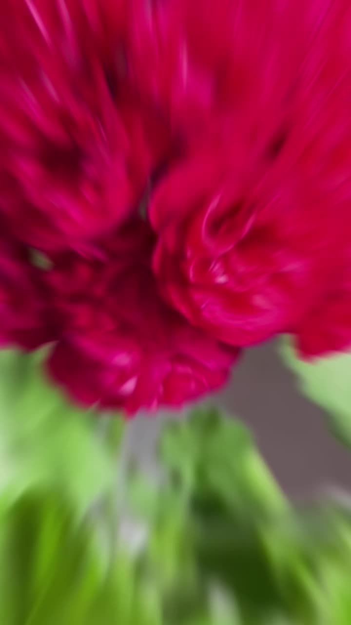 @Gül satışı🌸