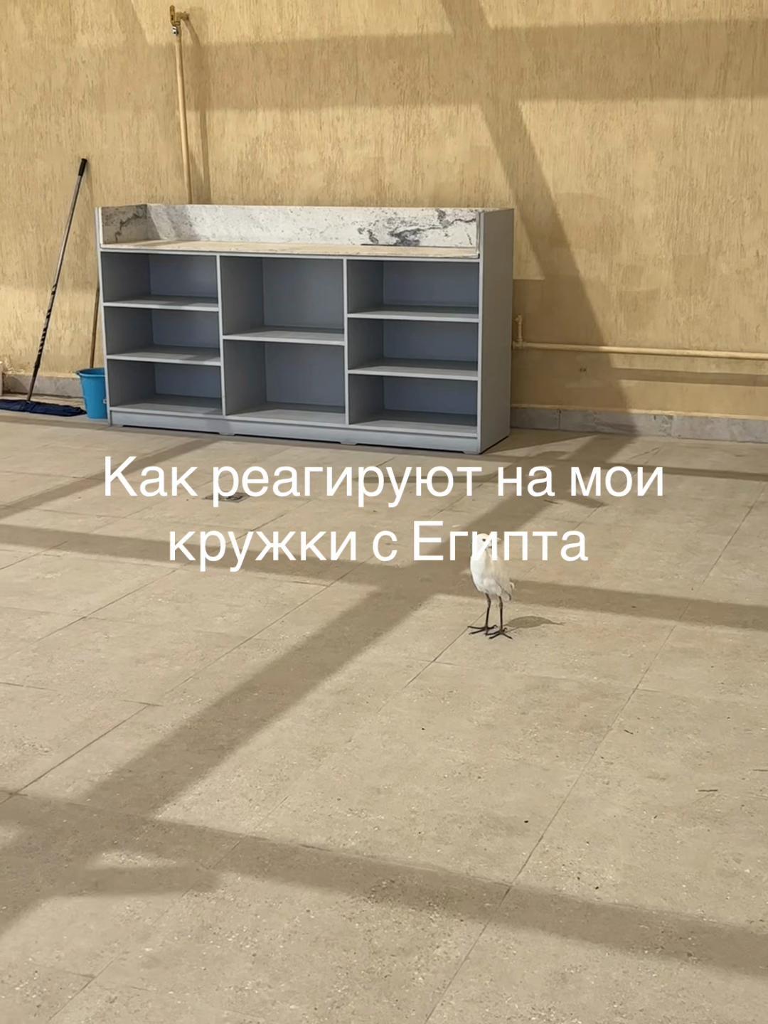 @Ksenik Kirshtein💍