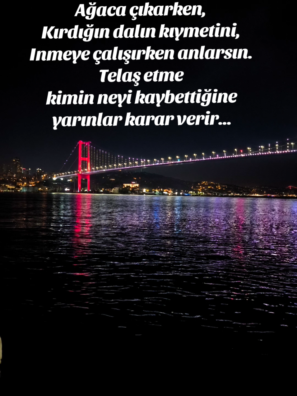 @Caner