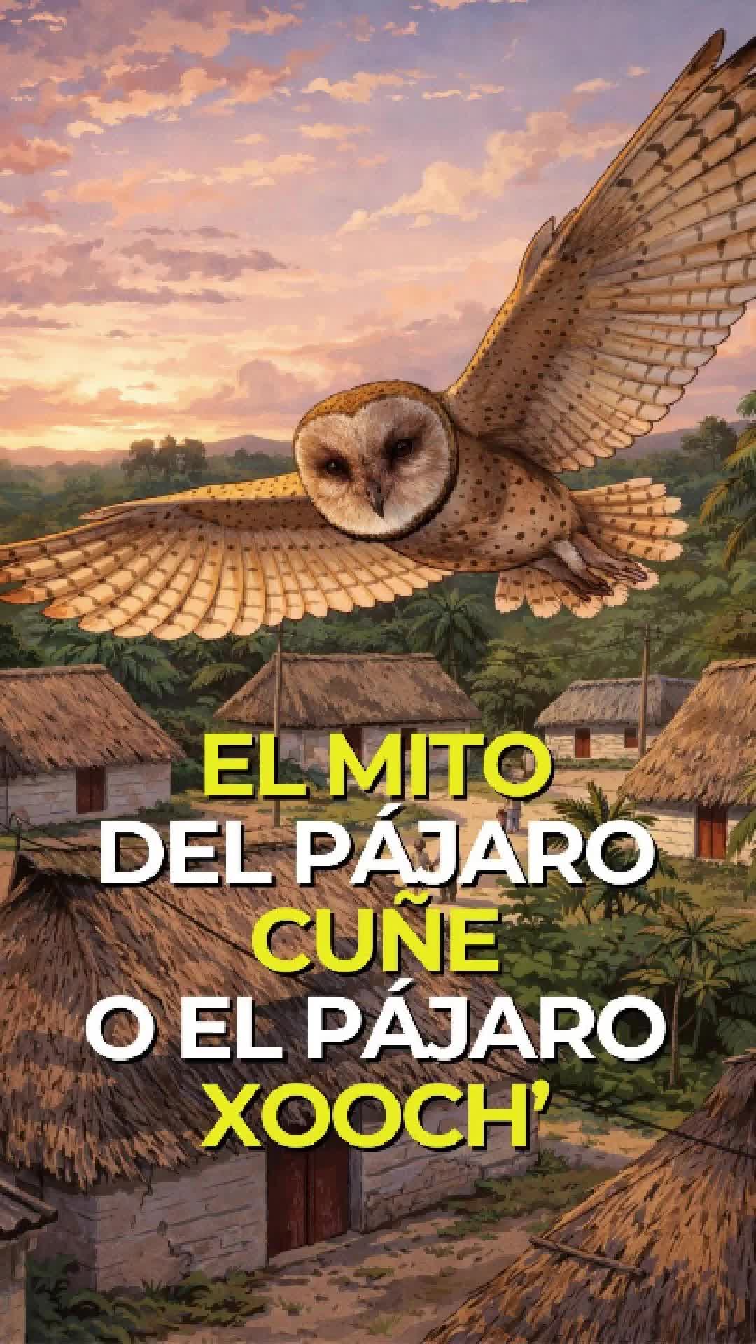 @Con Acento