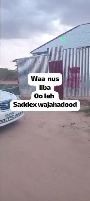 @xamda dagan