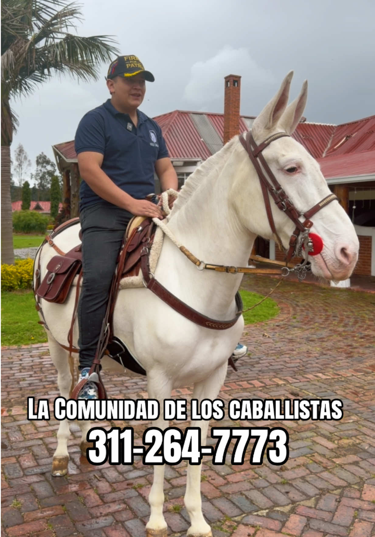 @Solo Caballos