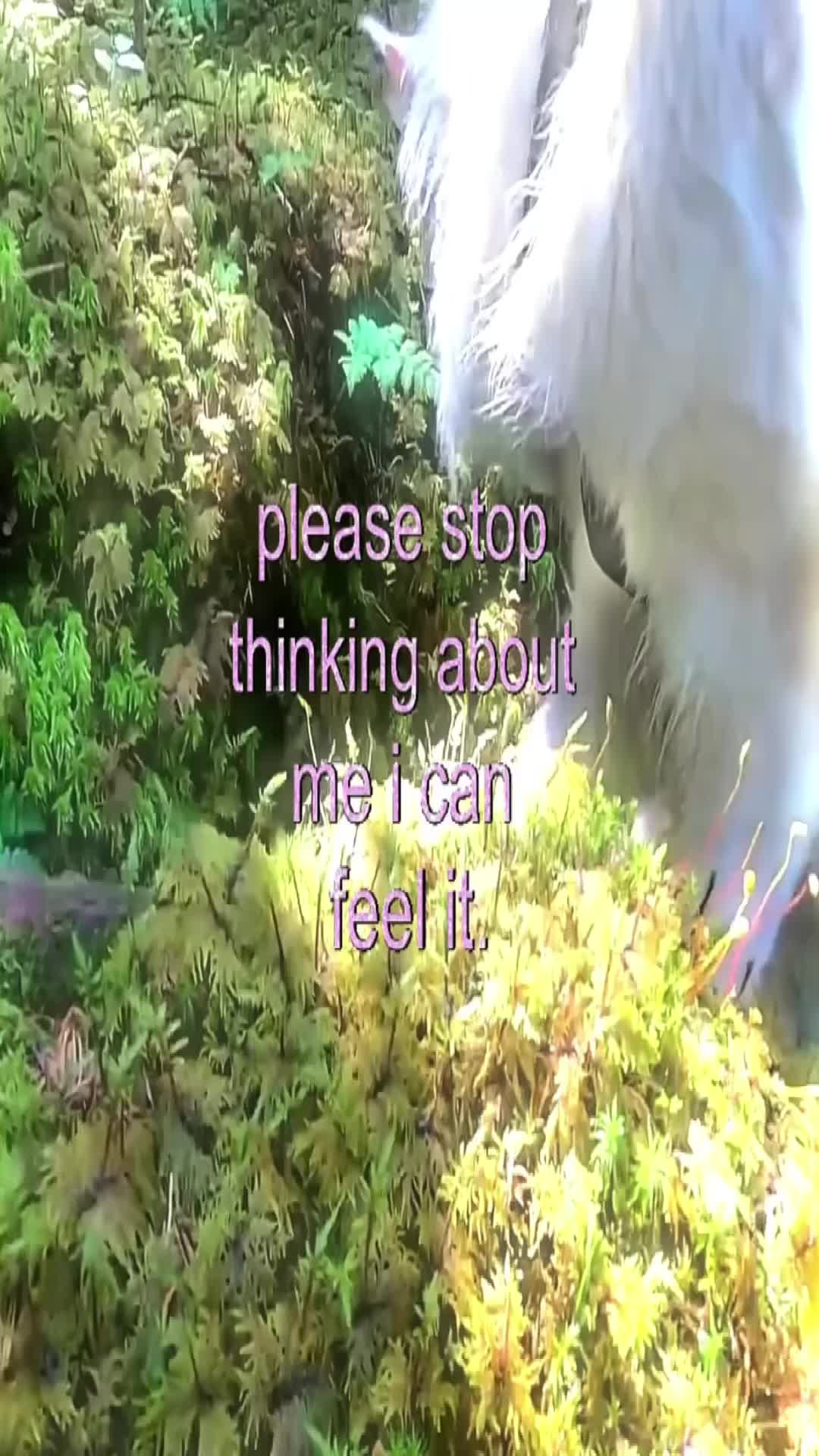 @gerhl