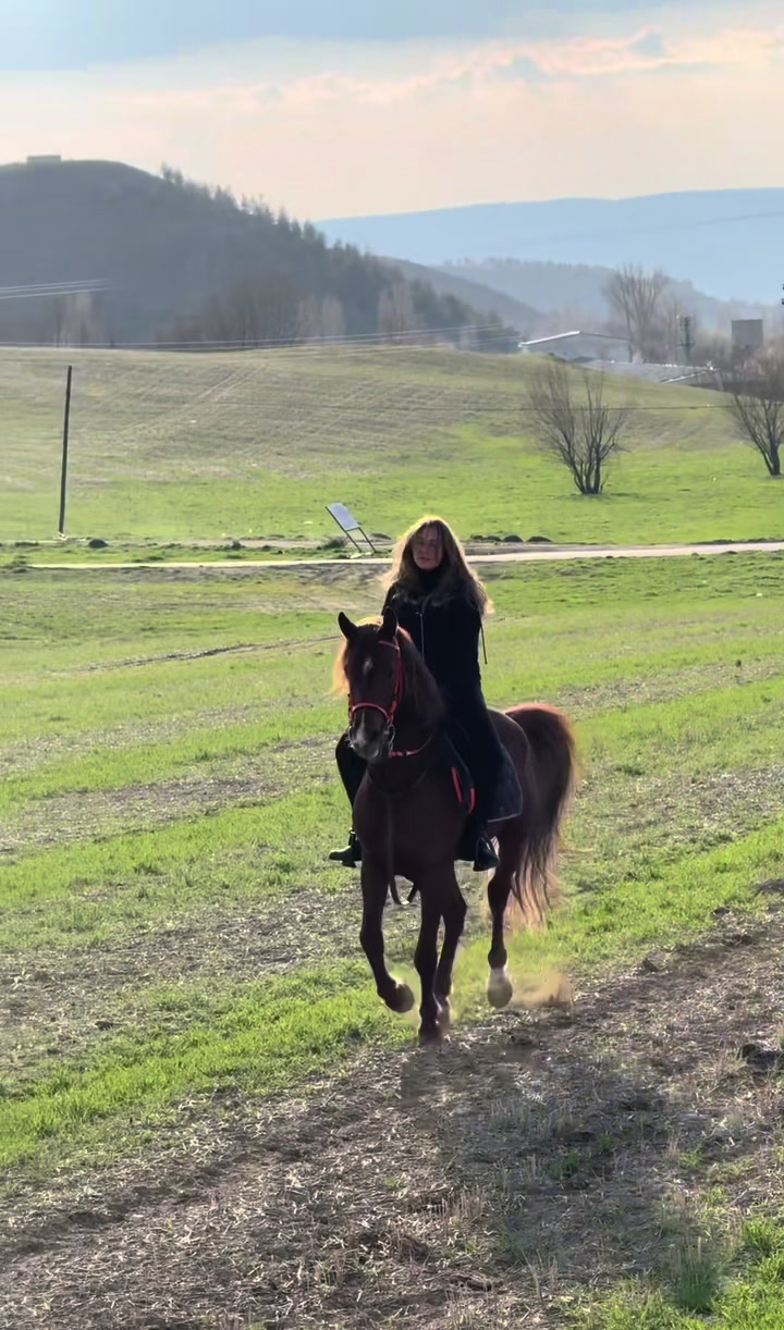 @esra.guzelark