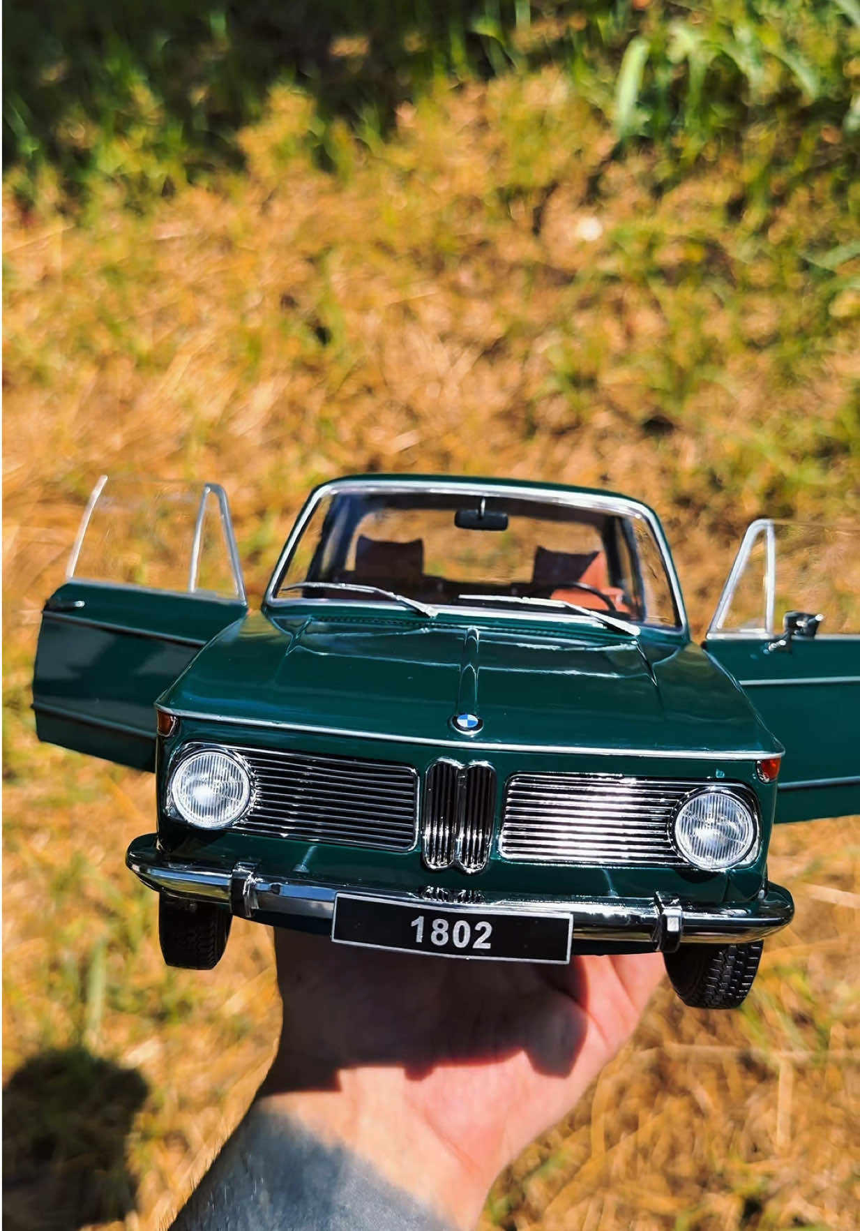 @Mirosmodelcars