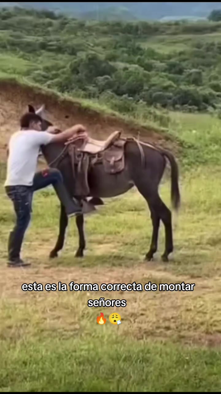 @carriles altos de jalisco🐎