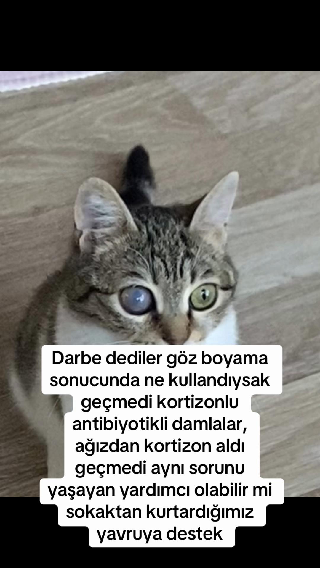 @yudummz_