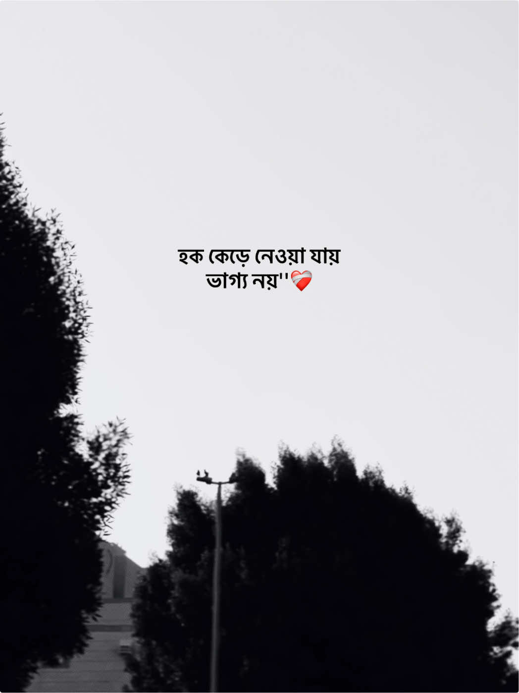 @𝐒𝐈 𝐘 𝐀𝐌 