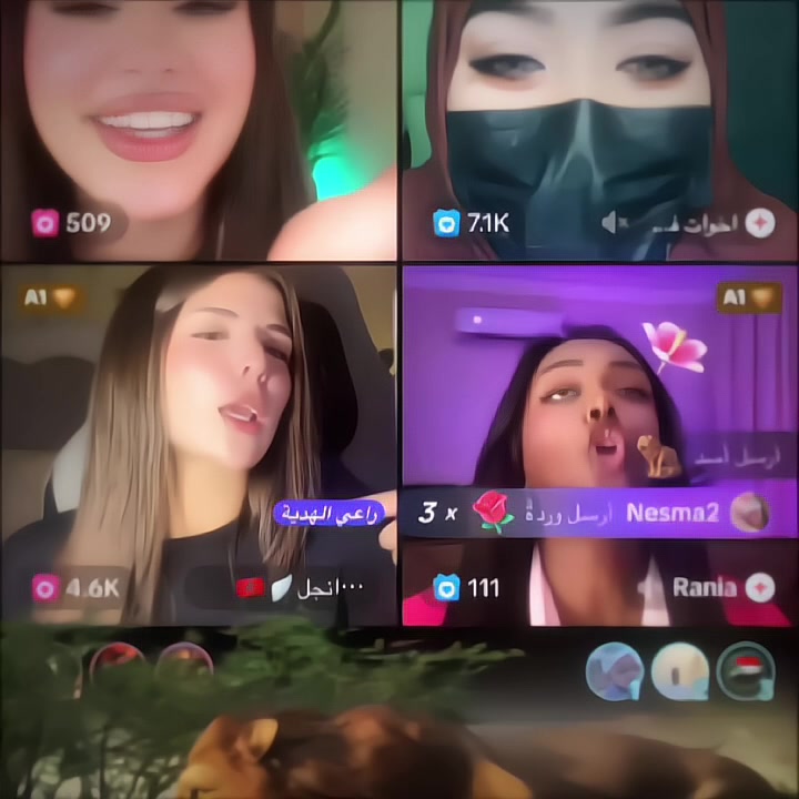 @๐๐๐๐๐๐ฉ๐ฟ๐