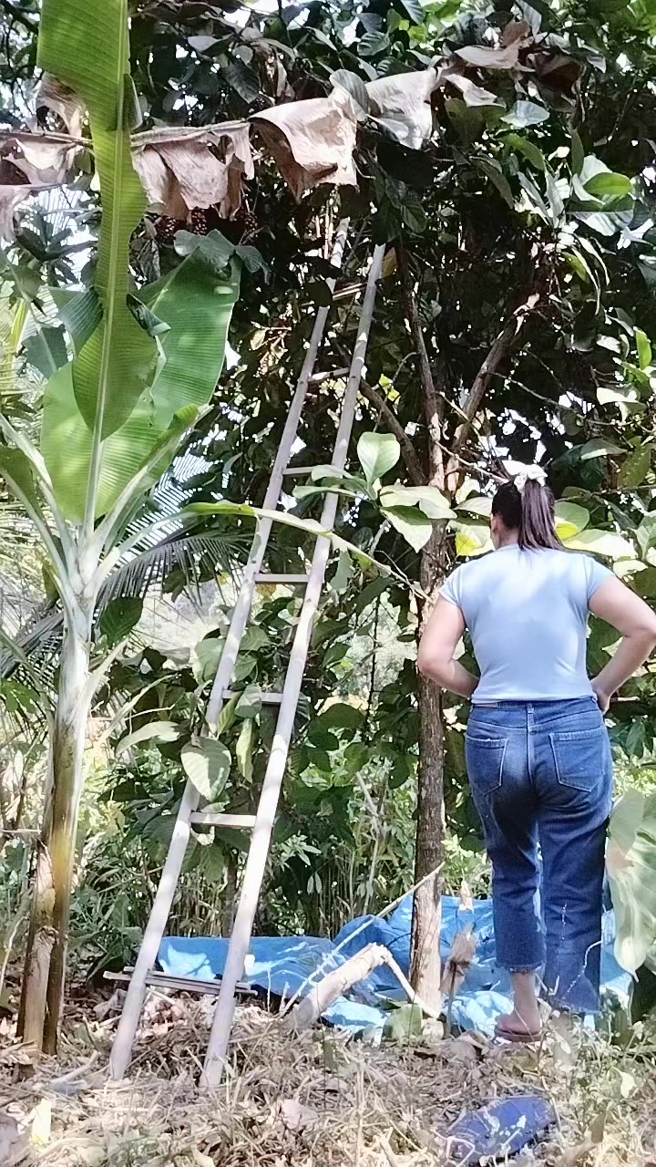 @Ｄｅｖａｎｏ.Ａ🍃