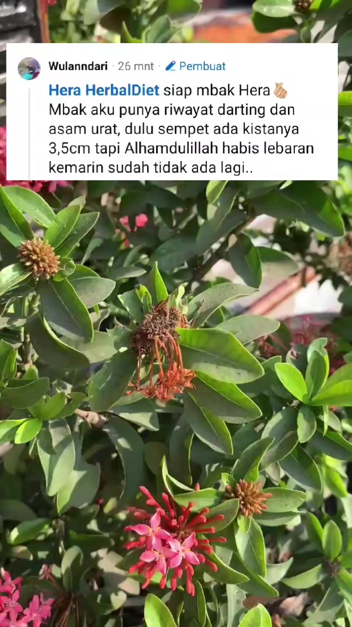 @HERA AMBULU
