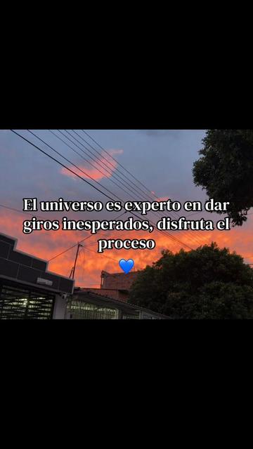 @🦁Nena R
