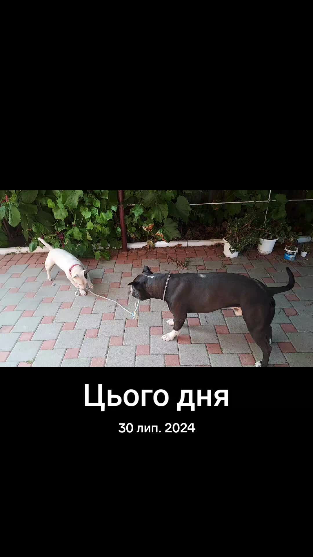 @Oleg