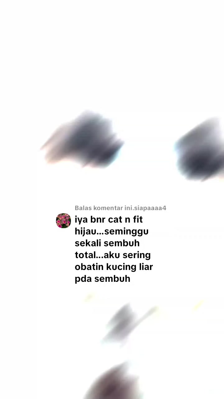 @🇮🇩Adek Gely😽❤️